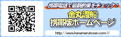 携帯電話版サイト!